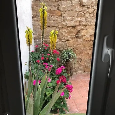 Holiday home Casa Andorinhas 1